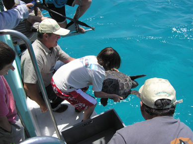 Alex liberando en el norte de Fuerteventura una tortuga recuperada 